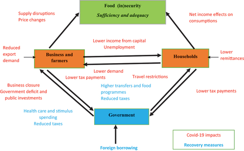 Figure 2. Interactions between COVID-19  impacts and government recovery measures leading to food security outcomes. Adapted from Nechifor et al. (Citation2021).