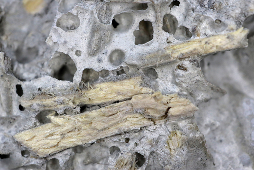 Figure 4. The structure of a porous limestone and hemp shives composite II0. Visible pores in the material structure.