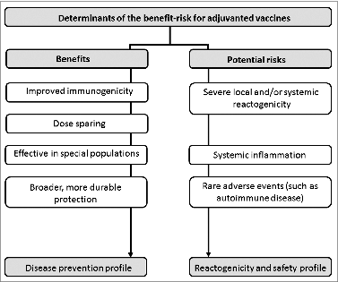 Figure 4. Factors potentially influencing the influence the benefit-risk profile of adjuvanted vaccines.