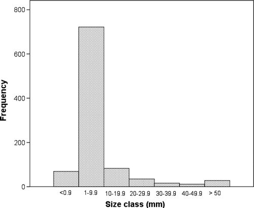 Fig. 5  Size frequency distribution of plastic items recovered from trawls.