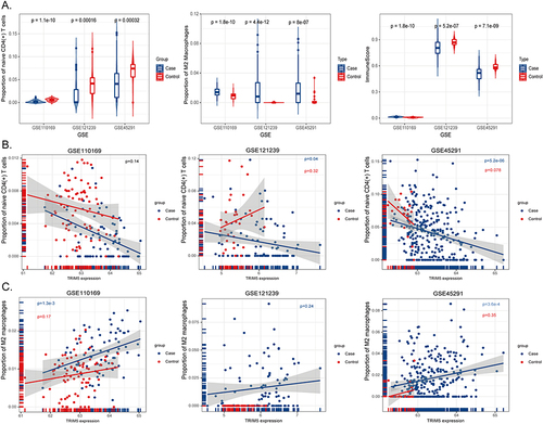 Figure 5 Immune cell enrichment analysis in three selected GSE files. (A) X-axis represents GSE datasets, Y-axis indicates the proportions of naive CD4(+) T cells (left), M2 macrophages (middle), and immune scores (right). Blue bins represent cases, and red represent healthy controls. (B) X-axis showed the expression levels of TRIM5, Y-axis represents the proportion of naive CD4(+) T cells in GSE110169 (left), GSE121239 (middle), and GSE45291 (right). The blue dots represent the case group, and the red dots represent the control group. (C) X-axis showed the expression levels of TRIM5, Y-axis represents the proportion of M2 macrophages in GSE110169 (left), GSE121239 (middle), and GSE45291 (right). The blue dots represent the case group, and the red dots represent the control group.