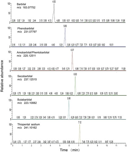 Figure 1. Extracted ionic chromatogram obtained from UHPLC-HRMS analysis of 0.2 ng/mg barbiturates in spiked blank hair samples. A mixture of barbital, phenobarbital, amobarbital, pentobarbital, secobarbital, butalbital and thiopental sodium (10 ng each) was spiked into 50 mg of blank hair sample.