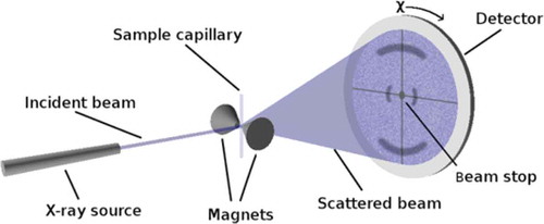 Figure 1. (Colour online) Schematic representation of an experimental X-ray scattering experiment for magnetically aligned nematic samples.