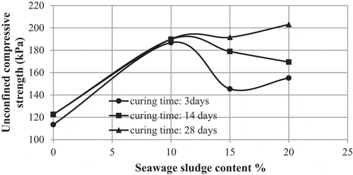 Figure 15. Relationship between the unconfined compressive strength for samples and the sewage sludge ash added to clayey soil at curing ages 3, 14 and 28 days