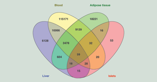 Figure 3.  Venn diagram presenting the number of shared CpG sites associated with age of human liver (20,396 CpG sites), blood (137,993 CpG sites), adipose tissue (31,567 CpG sites) and pancreatic islets (241 CpG sites), as presented in the Supplementary Tables 3, 5, 6 & 7.