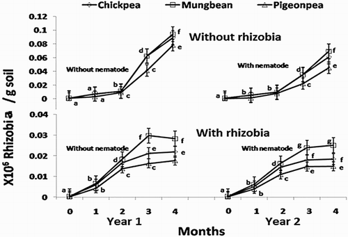 Figure 2. Effect of inoculation with the juveniles of Meloidogyne incognita on the monthly soil population of Mesorhizobiumciceri, Bradyrhizobiumjaponicum and Rhizobium spp.