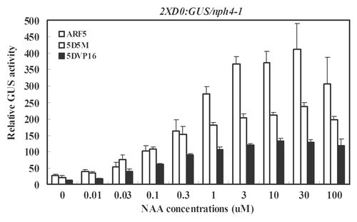 Figure 4. Dose response for 1-NAA on the expression of an integrated 2XD0:GUS auxin-responsive reporter gene in Arabidopsisnph4-1/arf7 protoplasts transfected with full-length or CTD truncated ARF5 or the ARF5 DBD fused to the VP16 AD. Assays were conducted as described in Figure 1 using the concentration of 1-NAA indicated.