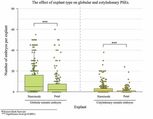 Figure 4. The effect of explant type on the number of globular and cotyledonary PSEs.