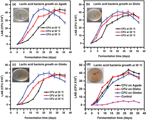 Figure 4. Microbial growth kinetics in the form of CFU at different temperatures: LAB fermentation on Agade (a), LAB fermentation on Disho (b) LAB fermentation on Gimbo (c) and LAB fermentation on all samples with control at 30°C (d) over 36 days of fermentation.