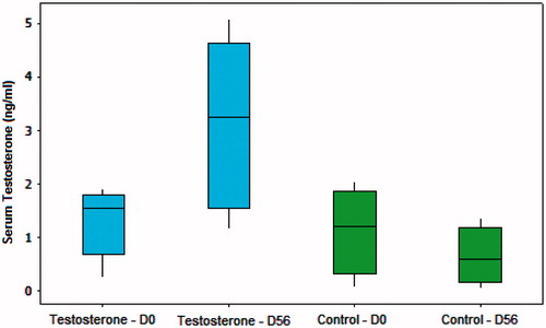 Figure 1. Box-plot of the values of serum testosterone in the testosterone and control groups on D0 (beginning of the experiment) and D56 (animal sacrifice).