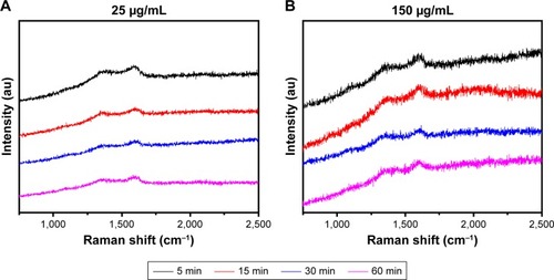 Figure 5 Raman spectra of trypsin-linked GQDs.Note: (A) 25 and (B) 150 µg/mL.Abbreviation: GQDs, graphene quantum dots.