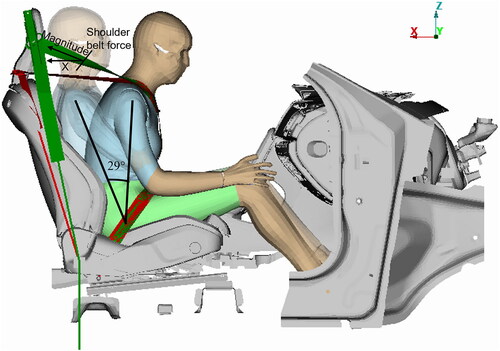 Figure 1. The average male Active SHBM seated in a forward-leaning posture, 29° forward from an upright position (shown in translucent shading) on a deformable seat inside the vehicle environment with the two different types of seatbelt systems: BPI (green belt textile) and BIS (red belt textile). Shoulder belt force can be measured as magnitude in the seatbelt direction or as X-component in direction of the global X-coordinate. Note: The BPI and BIS simulations were run separately. They are shown in the same figure just for comparison.