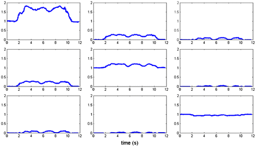 Figure 2. Pure deformation tensor of Skin markers set.