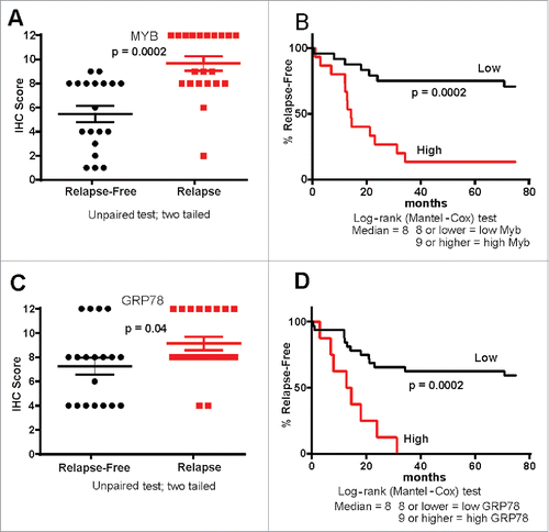 Figure 3. MYB and GRP78 expression tracks with CRC patient outcome. (A, B) IHC Histoscore was used to determine high and low MYB expression in relapse (n = 21) and relapse-free (n = 19) MSS CRC showing that high MYB tracks with poor outcome as well as tumor relapse (C, D) IHC Histoscore was used to determine high and low GRP78 expression in relapse and relapse-free CRC showing that high GRP78 tracks with poor outcome as well as relapse-free survival.