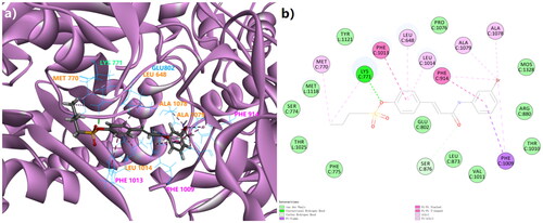 Figure 2. The 3D docking model (a) and the 2D binding pattern (b) of Spartinin C10 into xanthine oxidase (PDB code: 3NVY). The H-bond was displayed as the dotted line between CYS 771 and the sulphonate. The π-related interactions were shown as other dotted lines.