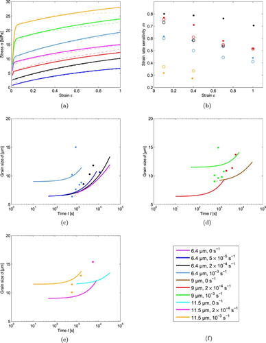 Figure 3. The SV-sinh model with w={1 1} (set 1) fitted to (a) stress–strain data, (b) strain rate sensitivity-strain data, and grain size-time data in (c), (d) and (e).