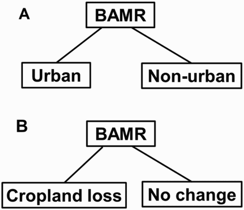 Figure 4. Decision tree analysis. (A) Classify the BAMR region into urban and non-urban land. (B) Use bands from both images to classify cropland loss.