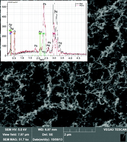 FIG. 9. SEM image and EDS spectrum of the sample of NPs synthesized by E/C of metallic Pb at TR = 860°C and QR = 1000 cm3/min.