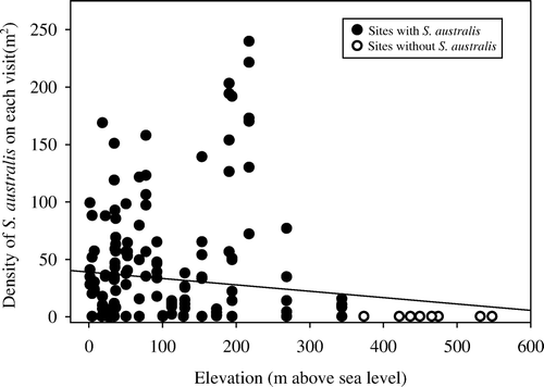 Fig. 2  Relationship between the density of S. australis found at each transect and elevation. Each data point represents an individual visit to each transect (n=40 transects). All transects that always had zero S. australis prevalence (n=8) were located at 375 m and above.