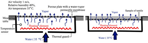 Figure 2. Scheme of the model simulating A Sweating Guarded Hot Plate M259B (Neves et al., Citation2015) experiment.