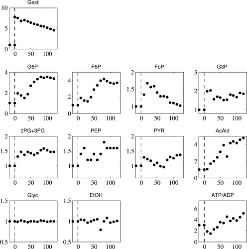 Figure 2. Available experimental data obtained from [Citation9]. Metabolite levels are given on y-axis, presented in fold changes with respect to the reference state (presented in Table 1) and x-axis represents time in seconds.