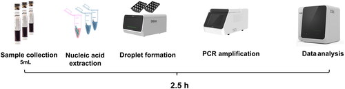 Figure 1. The work process of ddPCR test. ddPCR testing procedures were performed for about 2.5 h according to the manufacturer’s protocol.