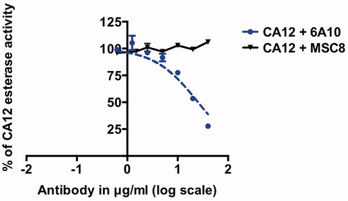 Figure 6. Dose-dependent inhibition of CA12 esterase activity with MSC8 and 6A10. IC50 of 6A10 is 25 μg/ml ± 6. Data represent three independent experiments each in triplicates.