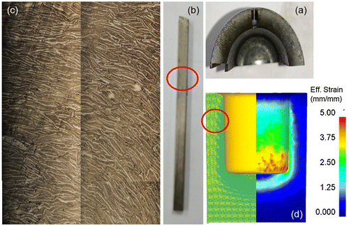 Figure 7. Material flow of backward extruded ring magnets: (a) hot-deformed Nd-Fe-B ring magnets; (b) sample for OM observation; (c) material flow in red circled area; (d) simulative strain distribution and ribbon orientation.