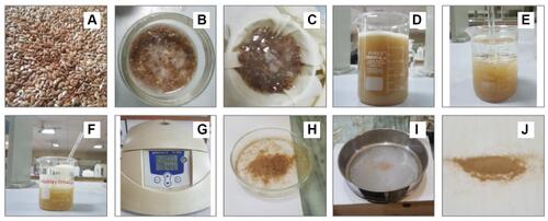 Figure 1 Diagrammatical representation of stepwise extraction process (A–J) of Linseed mucilage.