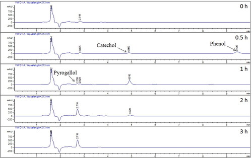 Figure 6. Determination of the generated phenol, catechol and pyrogallol by HPLC.