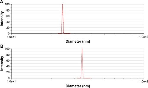 Figure 3 Particle size of A16 before lyophilization (A) and after lyophilization (B).