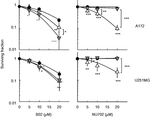 Figure 1. Effect of B02 or NU7026 on cell death induced by heat shock or X-rays in human cancer cell lines. Colony-forming survival assay. A172 (wtp53) and U251MG (mp53) cells were heat-treated at 44 °C for 10 min or irradiated with X-rays (2 Gy) in the presence of B02 or NU7026 at the indicated concentrations. Filled circles, inhibitor alone; grey triangles, heat shock; open triangles, X-rays. *, ** and *** represent p < .05, p < .01 and p < .001, respectively.