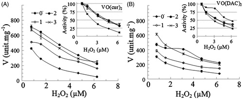 Figure 5. The rate of reaction of HRP (V) at different concentrations of hydrogen peroxide in absences (0) and presence of 1–3 µM (1, 2 and 3) vanadyl curcumin (A) and vanadyl diacetylcurcumin (B). In the inset figures, the enzyme activity was considered 100% in the absence of the complex.