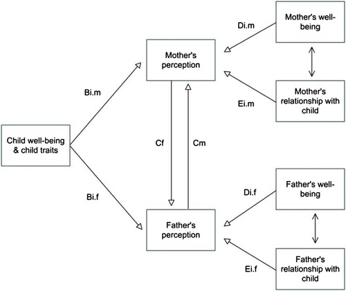 Figure 1. Structural equation model for parents’ perceptions of adult children’s well-being and adult children’s self-reported well-being.