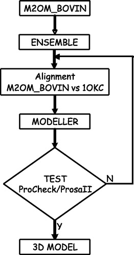 Figure 3.  Flow chart of our modelling procedure. The transmembrane topology of the bovine oxoglutarate carrier (M2OM_BOVIN) is predicted with ENSEMBLE. The output is then aligned in an expert-driven way with the template sequence (bovine AAC), constraining the transmembrane helical positions and the conserved sequence motifs, as explained in the text. For each given alignment a set of ten 3D models is built by threading the sequence onto the template structure. Each new model is evaluated with the PROCHECK/PROSAII suite and only the best evaluated models are retained for further minimization and removal of conflicting positions.