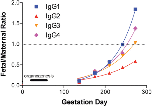 Figure 2.  Placental transport of IgG subtypes in humans. Figure shows the theoretical distribution of fetal serum immunoglobulin isotypes relative to maternal serum during the typical gestational period in humans. The relative order of transport capacity across the placenta is IgG1 > IgG4 > IgG3 > IgG2. (Schematic provided courtesy of Pauline L. Martin, PhD. For more detailed information, see Martin and Weinbauer, Citation2010).