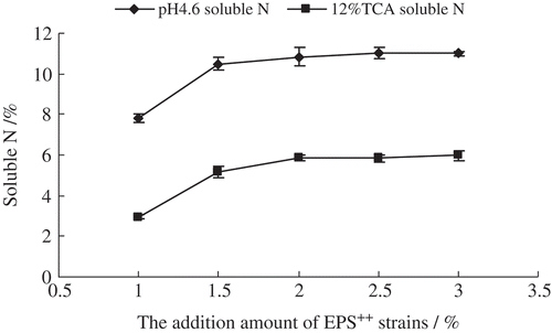 FIGURE 2 Effect of EPS++ strain content on proteolysis of half-fat Cheddar cheeses over ripening.