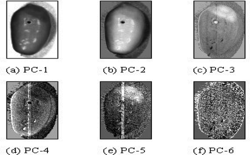 FIGURE 7 Six principal component images by PCA based on the six optimal wavelengths (987, 1028, 1160, 1231, 1285, and 1464 nm). PC-1 to PC-6 were the first, second, third, fourth, fifth, and sixth principal components, respectively.