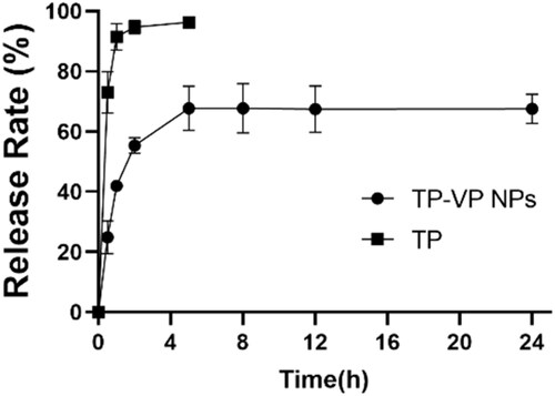 Figure 3. The cumulative release of TP from TP-VP NPs and TP solution in PBS at 37 °C.