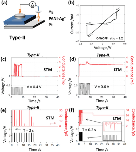 Figure 3. (a) Device architecture for Type II: Ag+- doped devices; (b) I-V response to ± 0.6 V input at 1 hz sweep rate.; (c – f) conductance response pulsed input. (c) input voltage (V) = 0.4 V, pulse width (W) = 0.5 s, interval (T) = 0.5 s; (d) V = 0.6 V, W = 0.5 s, T = 0.5 s; (e) V = 2.9 V, W = 0.1 s, T = 2 s; (f) V = 2.9 V, W = 0.1 s, T = 0.2 s.