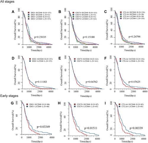 Figure 7 Kaplan- Meier survival curves for subtypes defined by ICGs associated with overall survival. Horizontal axis: overall survival time, days, Vertical axis: survival function. KM survival curve of TCGA based on (A) high/low expression of IDO1 and CD48 grouping samples; (B) high/low expression of PD-L1 (CD274) and CD48; (C) high/low expression of CTLA4 and CD48; (D) high expression of IDO1+CD48 and low expression of IDO1 +CD48 in all patients. (E) high expression of PD-L1 (CD274) +CD48 and low expression of PD-L1 (CD274) +CD48 in all patients; (F) high expression of CTLA4 +CD48 and low expression of CTLA4+CD48 in all patients; (G) high expression of IDO1 +CD48 and low expression of IDO1 +CD48 in early stage patients; (H) high expression of PD-L1 (CD274) +CD48 and low expression of PD-L1 (CD274) +CD48 in early stage patients; (I) high expression of CTLA4 +CD48 and low expression of CTLA4 +CD48 in early stage patients.