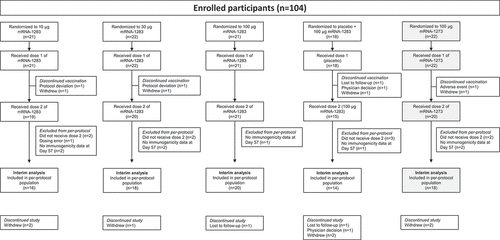Figure 1. Participant disposition. One participant in the mRNA-1273 100-µg group discontinued vaccination because of an adverse event, which was considered related to study vaccination. All randomly assigned participants who received dose 1 of the study vaccination were included in the safety population. Reasons for exclusion from the per-protocol immunogenicity population are described in the Supplement. Abbreviation: mRNA, messenger RNA.