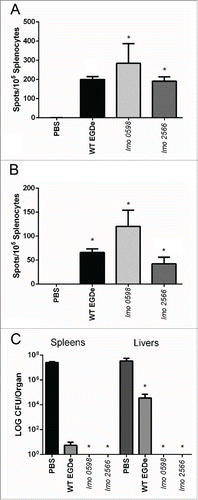 Figure 4. L. monocytogenes vaccine strains stimulate anti-Listeria T cells and protect mice against secondary infection. Mouse groups were vaccinated as outlined with a primary inoculation on day 0 and a booster at day 14. At day 35 mice were examined for T-cells responsive to (A) LLO91–99 or (B) P60217–225 using peptide pulsed P815-1-1 cells. *P < 0.05 by the Kruskal Wallis one way ANOVA, with post hoc comparison using Dunn's method. Significant differences are shown relative to the sham (PBS) inoculated animals. No significant differences were evident between Tnlmo0598 or Tnlmo2566 vaccinated animals. Error bars represent the mean ± SEM (C) A subgroup of vaccinated mice were challenged with L. monocytogenes wild type (EGDe) (3 × 105 CFU via the i.p. route). Mice vaccinated with wild-type (strain EGDe), attenuated strains Tnlmo0598 or Tnlmo2566 or sham-inoculated mice were analyzed for organ load 2 d post-infection. *P < 0.05 by the Kruskal Wallis one way ANOVA, with post hoc comparison using Dunn's method. Significant differences are shown for protection relative to the sham (PBS) inoculated animals. Error bars represent the mean ± SEM.