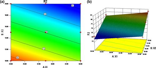 Figure 3. (a) Contour plot of percentage drug loading; (b) Surface response curve of percentage drug loading with respect to deposition temperature and number of bilayer coating.