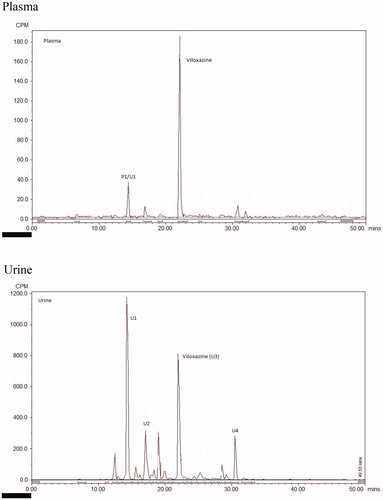 Figure 4. Representive chromatogram from human plasma and urine from a single subject following a single oral administration of [14C]-viloxazine (nominal 100 mg; 8.7 MBq) to seven male human subjects. Metabolites P1 and U1 are considered to be the same metabolite and are indicated as such in the plasma chromatogram.