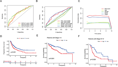 Figure 4 Evaluation of the disulfidptosis-related lncRNAs’ predictive risk model and the clinical characteristics of HCC in the full TCGA dataset. (A) This prognostic model’s sensitivity and specificity are evaluated using a time-dependent ROC analysis. (B) Risk score and clinical characteristics ROC curves. (C) C-index for risk assessment and clinical features (D) The progression-free survival for the entire HCC patient population. (E and F) The Kaplan–Meier contours for low- and high-risk HCC patients in stages I–II (E) and stages III–IV (F).