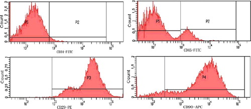 Figure 2. Identification of MSC surface markers by FCM.