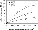 Figure 4 Comparison between experimental results and the proposed correlation for the amount of lipase adsorbed, aads, versus equilibrium free lipase concentration, afree. (▪, ♦, and ▴ are experimental results and – is the correlation curve at each temperature.)
