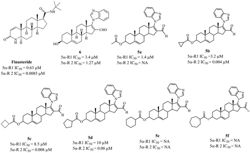Figure 2. Biological activities of finasteride and the six novel steroidal derivatives 5a–5f and 6. IC50: concentration of compound required to inhibit 50% of the activity of 5α-reductase isoenzymes 1 and 2.
