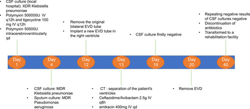 Figure 4 Schematic presentation of the clinical treatment process for Case 2.
